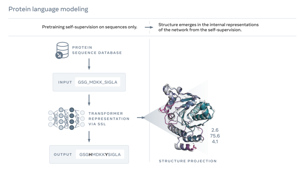 grafika modelowana rozkładu białek